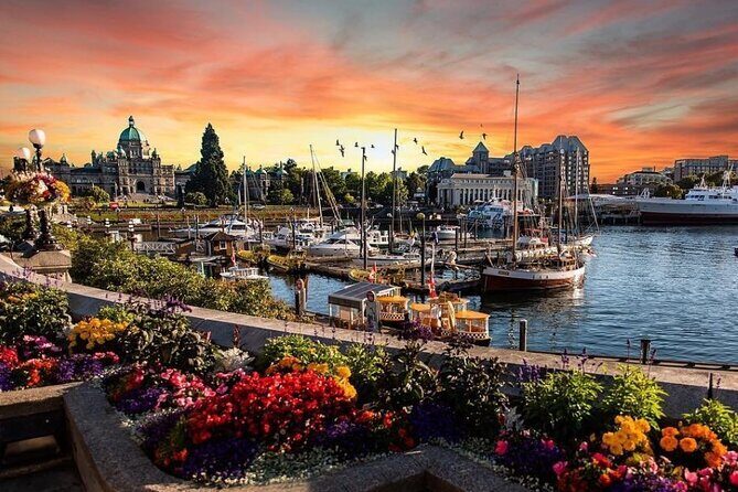 2-Day Victoria Vancouver Island Tour (Chn&Eng) - Pricing and Value
