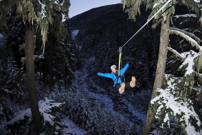 2 Hour Late Afternoon Winter Zipline Adventure - The Value of This Experience
