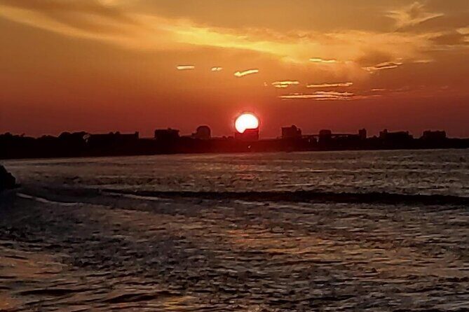 2 Hours Swim with the Dolphins in Panama City - The Snorkeling and Shell Island Stop