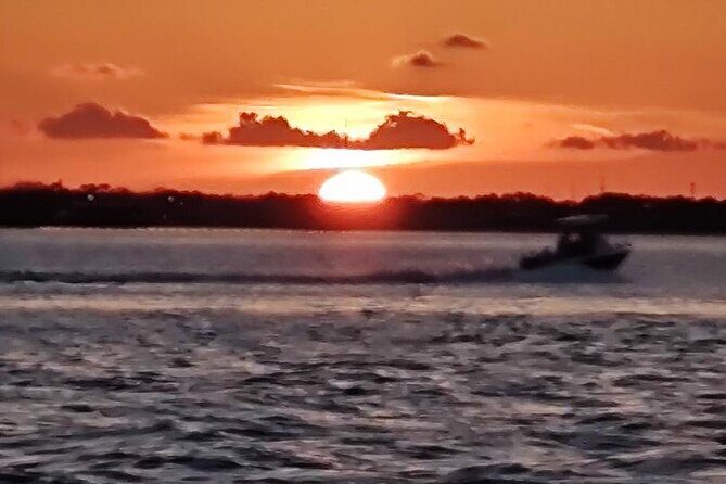 2 Hours Swim with the Dolphins in Panama City - Practical Tips for Future Travelers