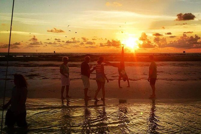 Anna Maria Island Dolphin Sunset Boat Tour - What Past Travelers Say