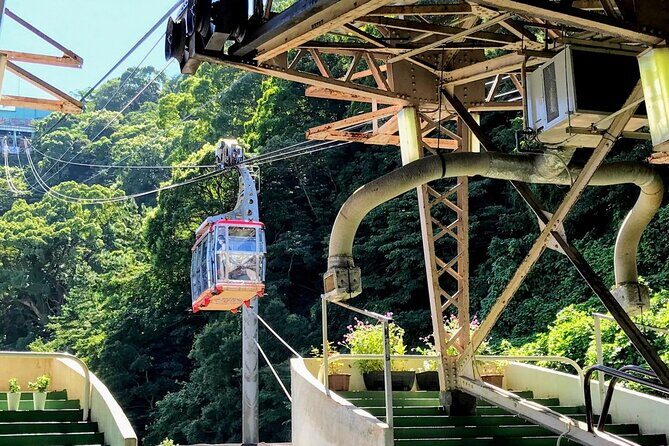 Atami Half-Day Private Tour with Government-Licensed Guide - A Balanced Look at Each Stop