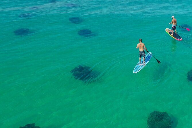 Destin Dolphin and Snorkeling Adventure Speedboat Tour - The Speed & Comfort of the Boat