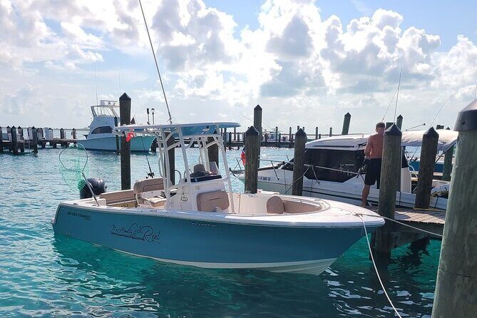 Dock Hop Cruise in Sarasota - Why You Should Consider This Tour