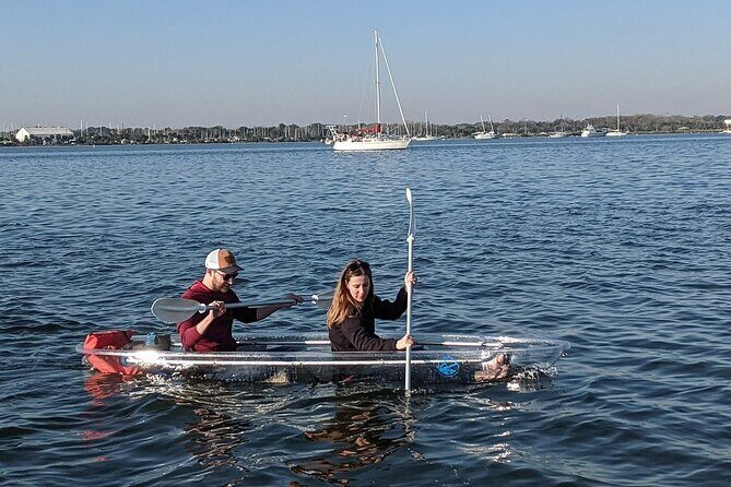 Dolphin and Manatee Clear Kayak or Paddleboard Tour - Wildlife Encounters and Natural Beauty