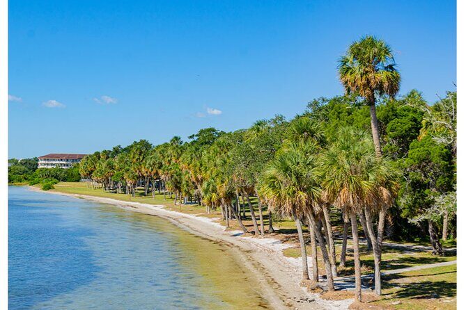 Electric Bike Rental - Riding Through Sarasota and Beyond