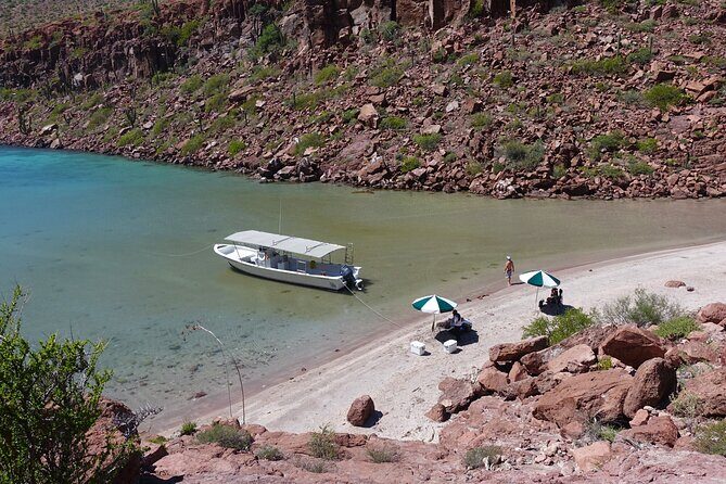 Espiritu Santo Wildlife Expedition and Snorkeling Tour (Private) - The Price and Its Value