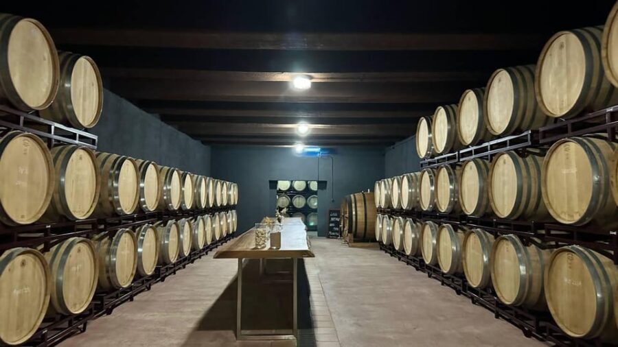 From Alicante ,Benidorm: Winery Tour and Wine Tasting - Who Should Consider This Tour?
