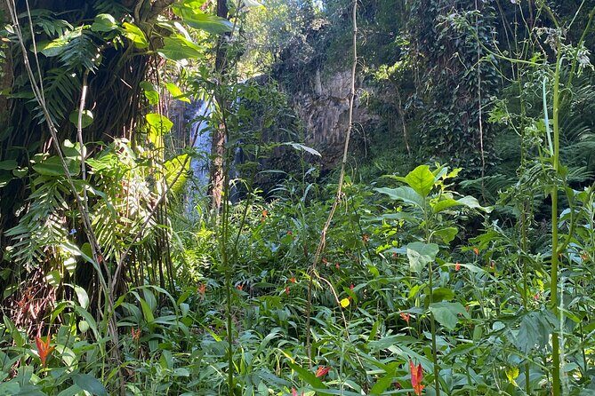 Full Day Island of Maui Private Tour - Is the Price Worth It?