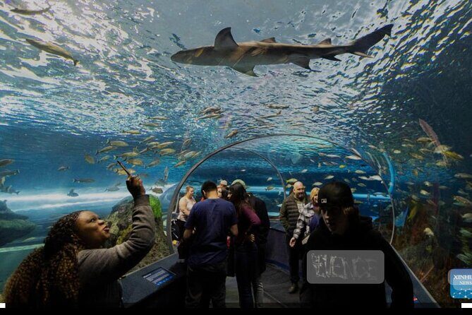 Full Day Private Sightseeing Tour in Toronto - Why This Tour Offers Good Value