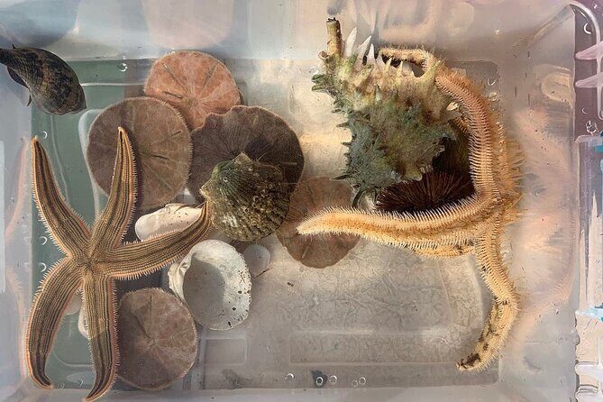 Guided Jet Ski Adventure Tour - Frequently Asked Questions