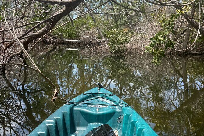Guided Kayak Experience at EG Simmons Park - Final Thoughts: Is It Worth It?