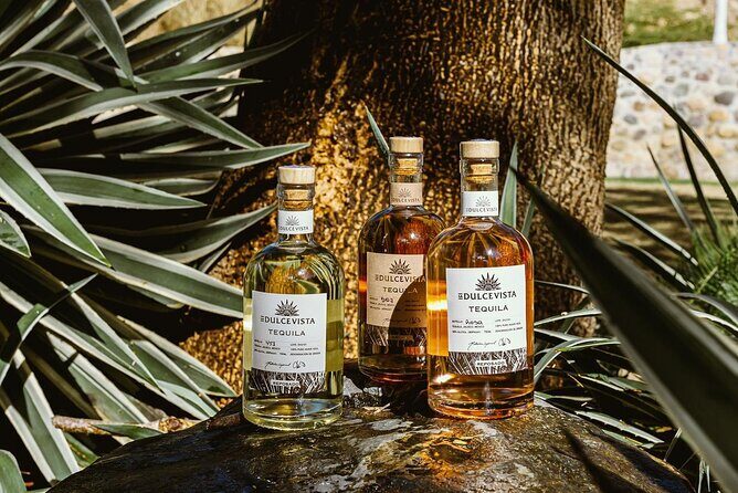 Horseback Riding: Tequila Tasting, Mex BBQ & Margaritas - Who Will Love This Tour?