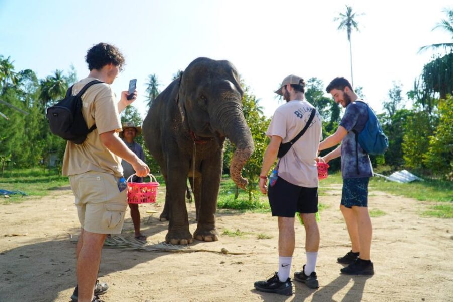 Koh Samui: 4x4 Sightseeing Safari & Elephant Sanctuary Tour - Practical Details and Tips