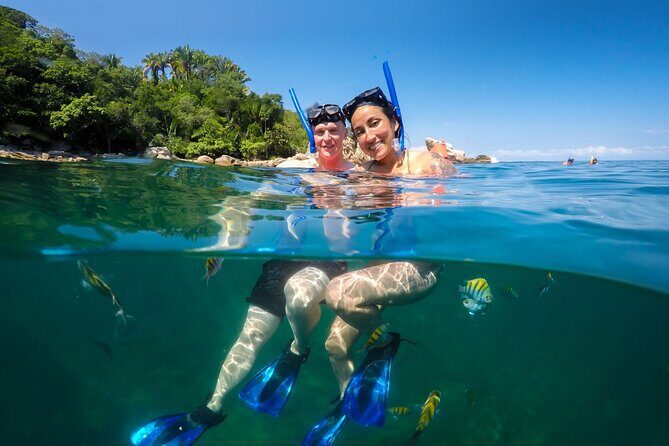 Luxury Yacht & Snorkel with All inclusive Open bar and lunch - The Experience: Pros & Cons Based on Guest Feedback