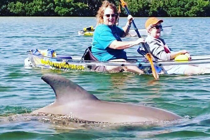 Manatee And Dolphin Tour - The Sum Up