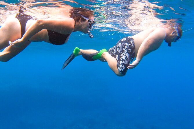 Maui-Lanai EcoRaft Tour: Snorkel or Dolphin Watch (Semi-Private) - Who Will Love This Tour?