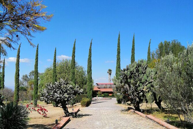 Morning Tour and Olive product tasting - What People Are Saying