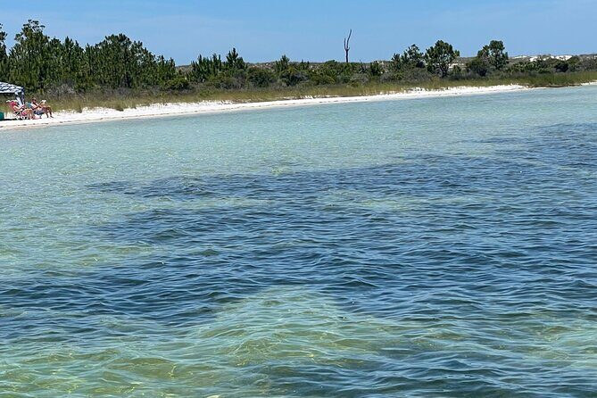 Panama City Beach Florida, Dolphin, Shell Island and Eco Tours - An In-Depth Look at the Tour Experience