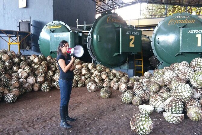 Private Full Day Tour in Guachimontones and Orendain Tequila - Practicalities and Value
