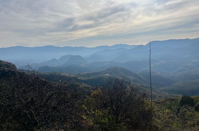 Private Half Day Bird Watching Experience - What Does the Price Cover, and Is It Worth It?