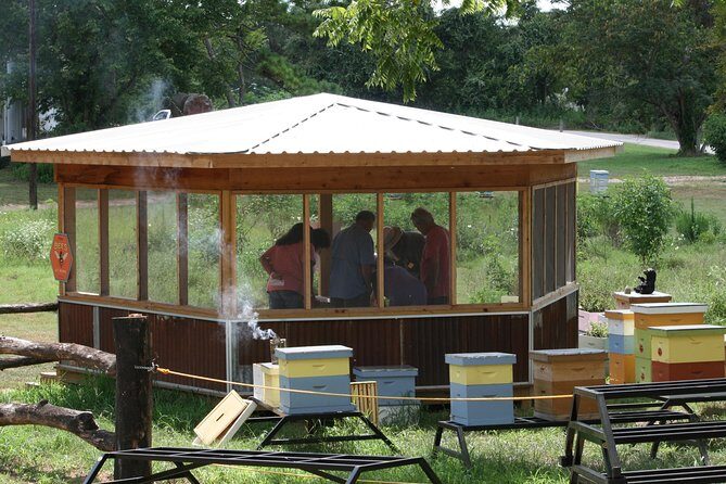 Private Hive Tour - What to Expect from the Tour