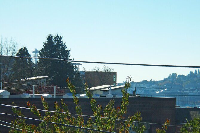 Private Seattle Cooking Class with a Chef in Her Home - An In-Depth Look at the Private Seattle Cooking Class Experience