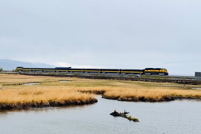 Private Whittier Cruise Transfer & Scenic Tour for Large Groups - The Itinerary: What Youll Experience