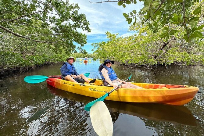 Robinson Preserve Mangrove Tour - Who Will Love This Tour?
