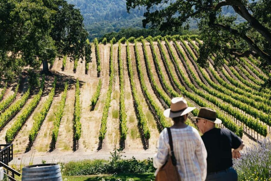 San Francisco: Napa and Sonoma Valley Wine Tour - What to Expect on the Tour