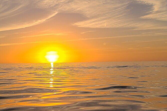 Sandbar, Beach, Dolphin Watching Cruise Sarasota, Florida - The Itinerary: What You Can Expect