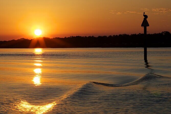 Savannah Sunset Dolphin Eco Tour - The experience through the eyes of travelers