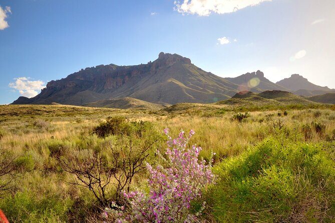 Self Guided Driving Audio Tour of Big Bend National Park - Practical Tips for the Journey