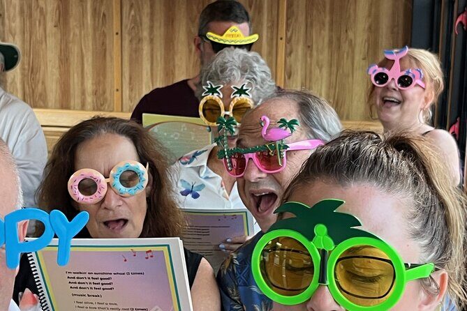 Sing-Along Trolley - Analyzing the Price and Value