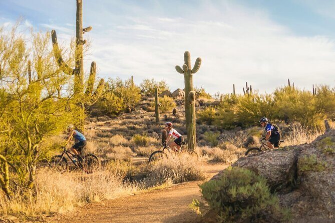 Sonoran Desert Guided Mountain Bike Tour - Final Thoughts