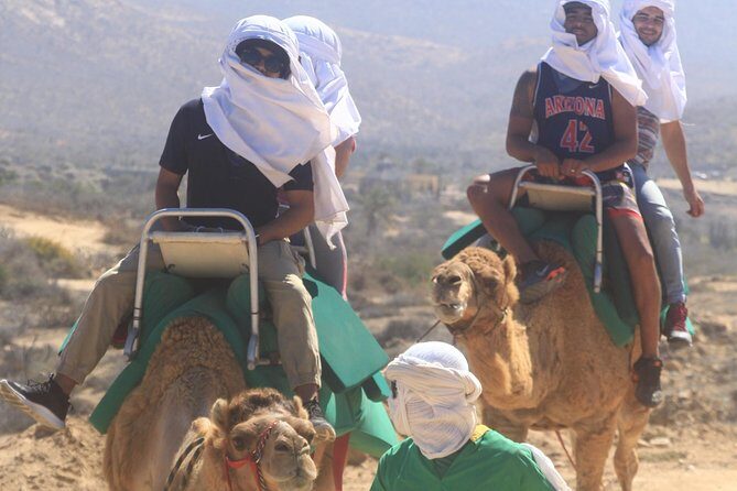Sunset Camel Ride Tour - Who Will Love This Tour?