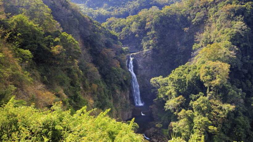 Taipei: Daxi Old Street and Tea Factory, Xiaowulai Day Tour - Transportation & Practical Details