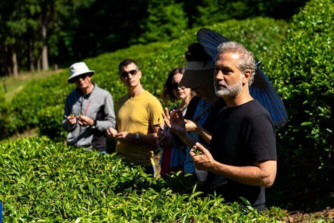 Victoria to Nanaimo Waterfall Wildlife Food Stops Along The Way - Exploring the Itinerary in Detail