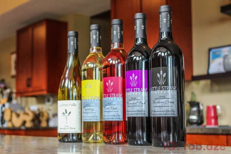 West Kelowna: Afternoon Sightseeing and Wine Tour - Authentic Traveler Experiences