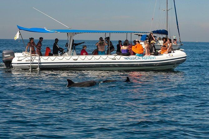 Whale and Dolphin Watching with a Biologist in Puerto Vallarta - The Sum Up