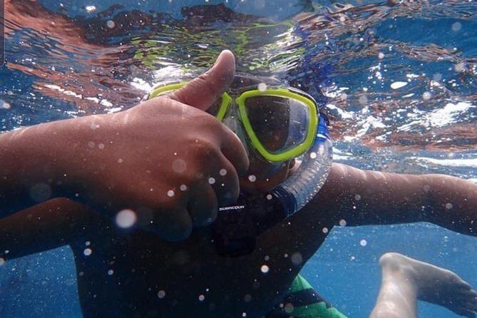 Whale Watching Catamaran Cruise with Transfer, Buffet by MC - The Itinerary in Detail