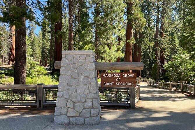 Yosemite National Park & Sequoias Private Tour from San Francisco - Who is This Tour Best For?